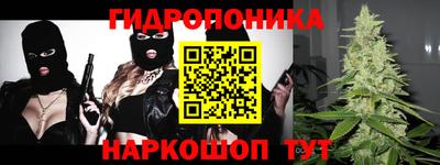 дмт Канаш