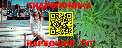 шишки Камышлов