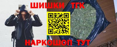 шишки Камышлов