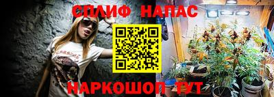шишки Камышлов